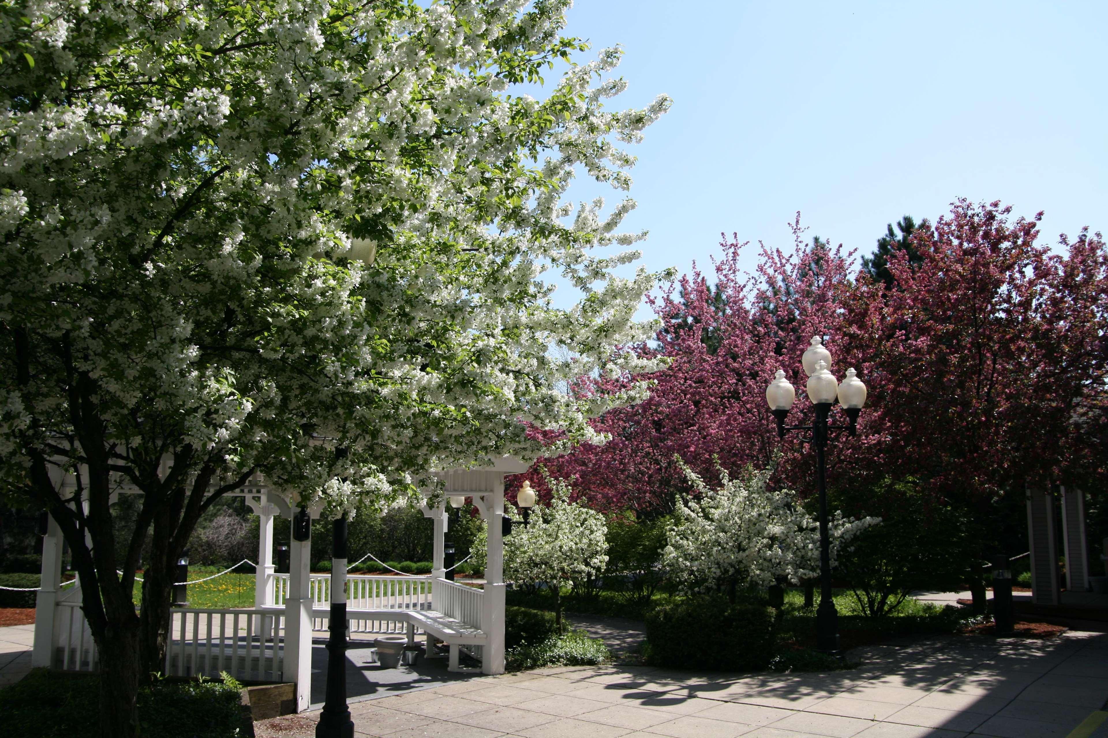 Hampton Inn Burlington - Colchester Екстер'єр фото